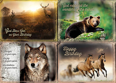 Picture of Wild Adventures -  Birthday Boxed Cards - Box of 12