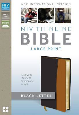 Picture of NIV Thinline Bible, Large Print