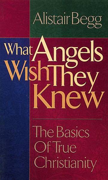 Picture of What Angels Wish They Knew [ePub Ebook]