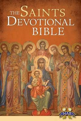 Picture of The Saints Devotional Bible