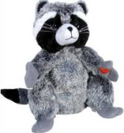 Picture of Chester the Raccoon