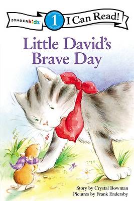 Picture of Little David's Brave Day