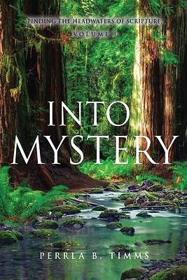 Picture of Into Mystery