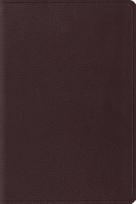 Picture of ESV Personal Reference Bible (Brown)