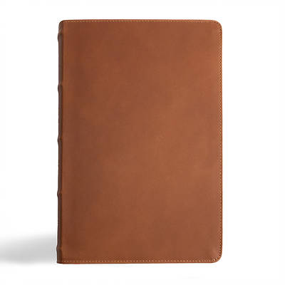 Picture of CSB Men's Daily Bible, Brown Genuine Leather