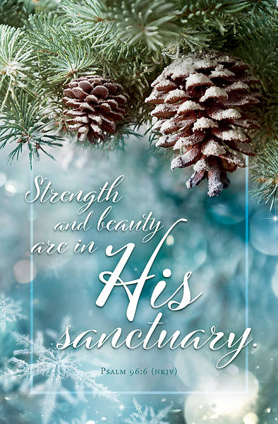 Picture of Strength and Beauty General Regular Size Bulletin