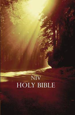 Picture of NIV Outreach Bible