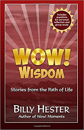 Picture of Wow! Wisdom