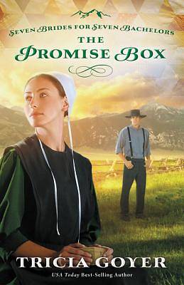 Picture of The Promise Box