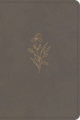 Picture of KJV Large Print Compact Reference Bible, Clay Leathertouch