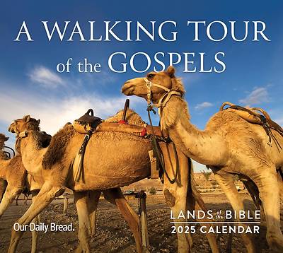 Picture of 2025 Lands of the Bible Wall Calendar