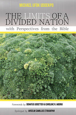 Picture of The Limits of a Divided Nation with Perspectives from the Bible