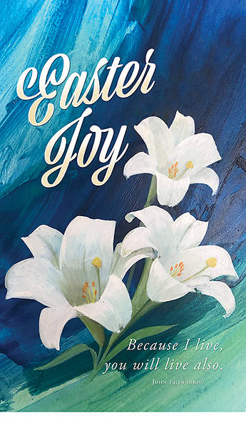 Picture of Easter Joy 3' x 5' Fabric Banner