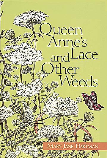 Picture of Queen Anne's Lace and Other Weeds