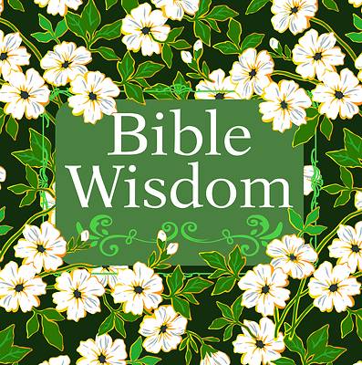 Picture of Bible Wisdom