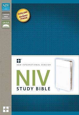 Picture of NIV Study Bible
