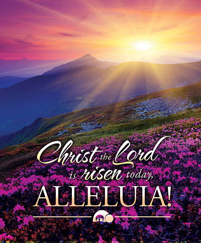Picture of Christ the Lord is Risen Today Legal Size Bulletin