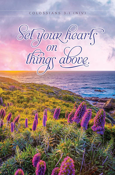 Picture of Set Your Hearts on Things Above Bulletin Regular
