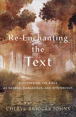 Picture of Re-Enchanting the Text