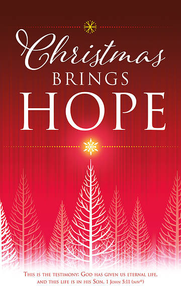 Picture of Christmas Brings Hope 3' x 5' Fabric Banner 1 John 5:11 NIV