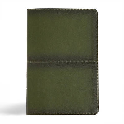 Picture of CSB Men's Daily Bible, Olive Leathertouch, Indexed