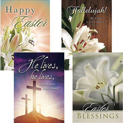 Picture of Celebrate Jesus! Easter Cards - Box of 12
