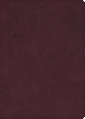 Picture of KJV Single-Column Wide-Margin Bible, Holman Handcrafted Collection, Marbled Burgundy Premium Calfskin