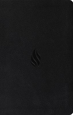 Picture of ESV Premium Gift Bible (Trutone, Midnight, Flame Design)