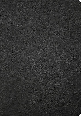 CSB Apologetics Study Bible, Revised & Updated, Easy-To-Read Optimal Type, Black Genuine Leather