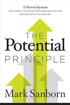 Picture of The Potential Principle