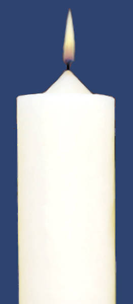 Picture of Stearic Altar Candles Emkay 12 x 1 1/2 Pack of 12 Plain End