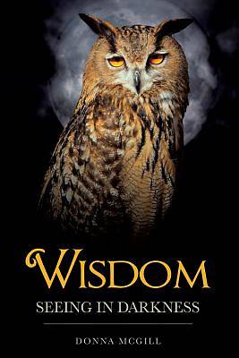 Picture of Wisdom Seeing in Darkness