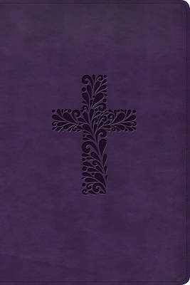 Picture of KJV Rainbow Study Bible, Purple Leathertouch, Indexed