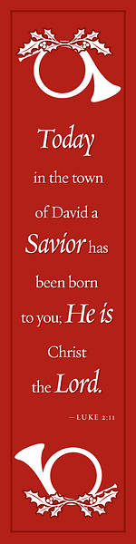 Picture of Luke 2:11 Christmas Banner 2' x 8'