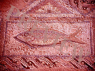 Picture of Download Still Fish Mosaic