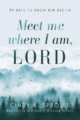 Picture of Meet Me Where I Am, Lord