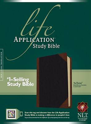 Picture of Life Application Study Bible NLT