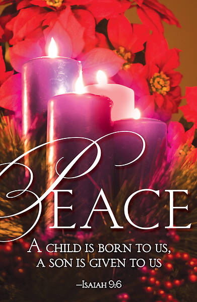 Picture of Peace Advent Candle Sunday 4 Bulletin (Pkg of 50)