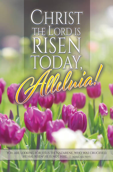 Easter Christ the Lord Is Risen Today Bulletin
