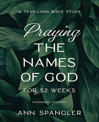 Picture of Praying the Names of God for 52 Weeks