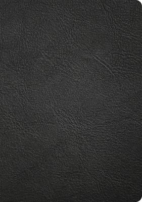 CSB Apologetics Study Bible, Revised & Updated, Easy-To-Read Optimal Type, Black Genuine Leather, Indexed