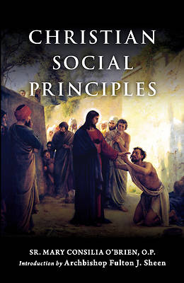 Picture of Christian Social Principles