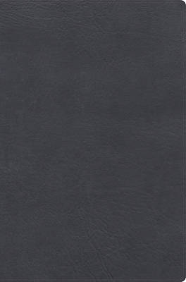 Picture of Rvr 1960 Biblia de Estudio Letra Gigante, Gris, Símil Piel Con Índice