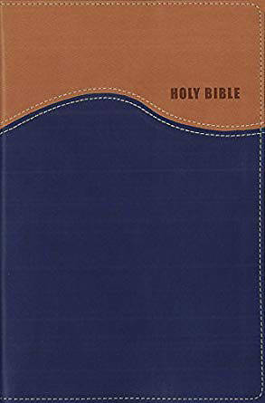 Picture of NIV Gift Bible, Tan/Blue - Case of 24