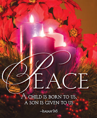 Picture of Peace Advent Candle Sunday 4 Bulletin, Large (Pkg of 50)