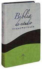 Picture of Biblia de Estudio Esquematizada-Rvr 1960