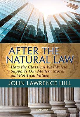 Picture of After the Natural Law