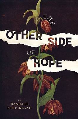 Picture of The Other Side of Hope