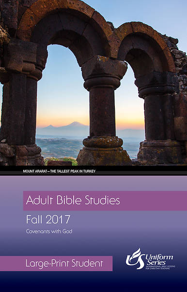 Picture of Adult Bible Studies Fall 2017 Student [Large Print]