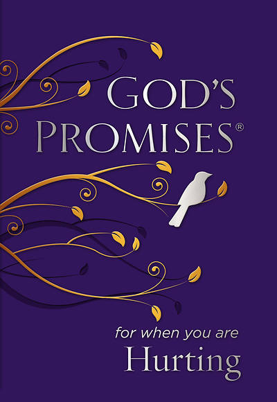 Picture of God's Promises for When You Are Hurting